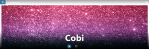 Screenshot 2023-08-30 at 11-07-01 Cobi