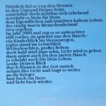 sternenregen