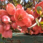 IMG_20260329_120001