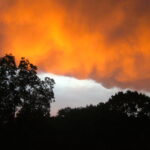 lichterabend 028