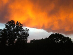 lichterabend 028